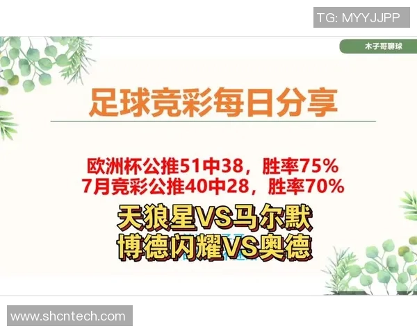 足球天狼星与马尔默的激烈对决展现了足球的魅力与激情